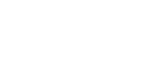 Aicelsior